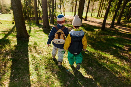 Two kids exploring forest on sunny day
