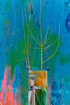 Trees with thin branches on a colorful background