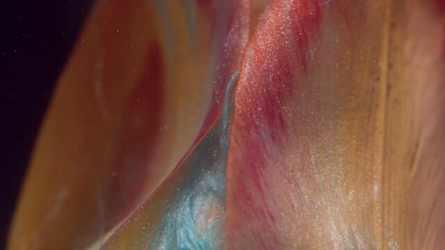 Floral cloud. Ink drop explosion. Defocused yellow red color blossom flower tulip petals blue wave flowing on abstract dark black background.