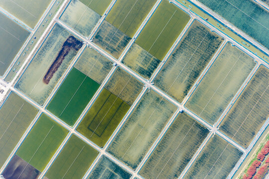 rectangular aquaculture fish ponds 