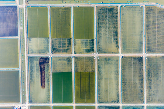 rectangular aquaculture fish ponds 
