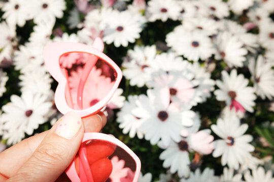 Sunglasses and Flowers. Love Spring concept. Flash