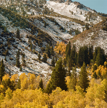 Eastern Sierra