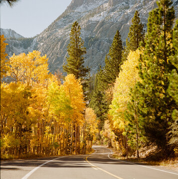 June Lake Scenic Drive