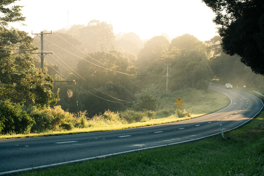 Winding rural road through lush forest in soft morning light