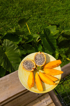 A plate of Dragon fruit and mango in the jungle