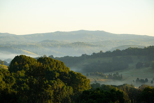 Rolling green hills with in warm morning light