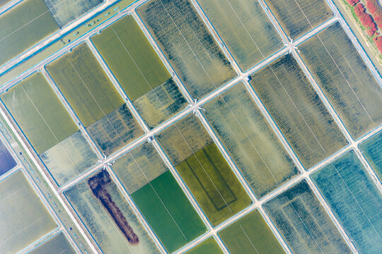 rectangular aquaculture fish ponds 
