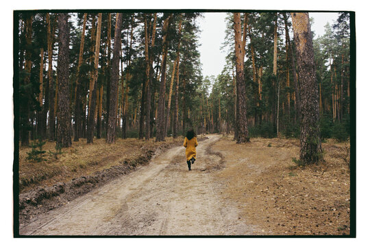 A woman runs along a dirt path in a pine forest.