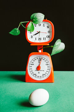Time and weight with plants and an egg on a green surface