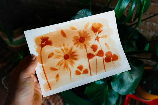 Botanic anthotype using turmeric powder