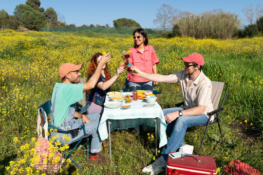 Friends Enjoy a Picnic in a Field on a Sunny Afternoon
