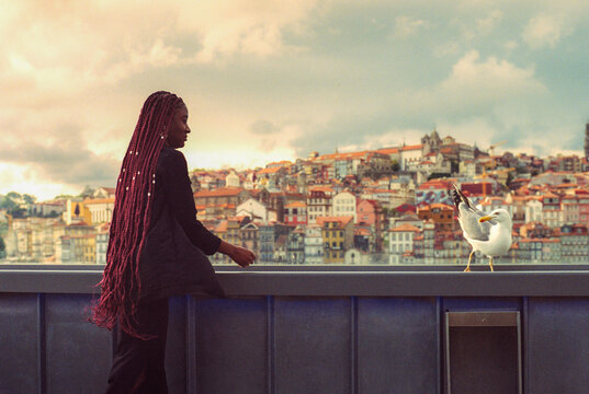 Seagull Over Porto