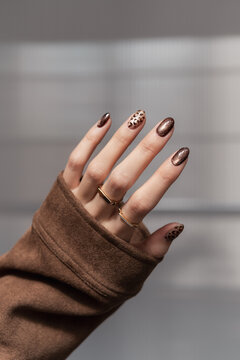 Brown Leopard Print Manicure