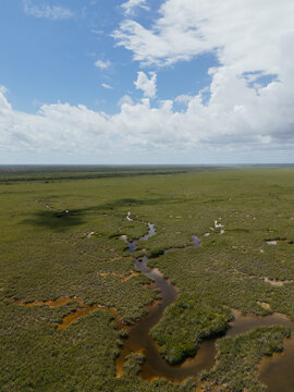 Meandering lagoon waterways across wetland plain