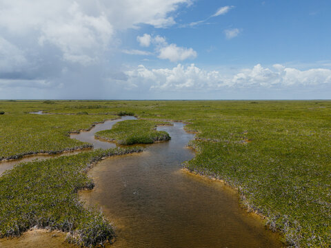 Winding lagoon channel through wetland in Tulum