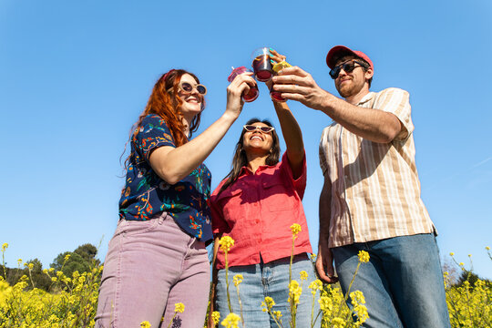 Friends Toasting Vermut In Flower Field