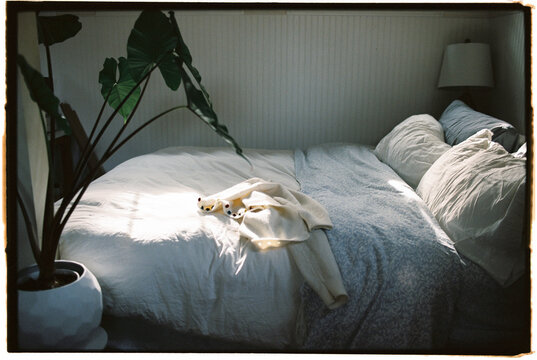 Bedroom Soft Sunlight Houseplant Bed