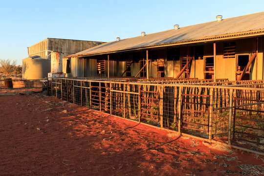 Shearing shed on a sheep station. Outback South Australia.