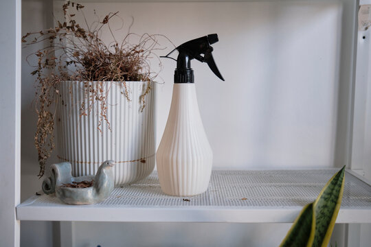 Spray bottle and plant on a shelf in a simple home setting