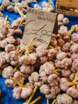 Sicilian vives