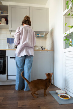 Person feeding hungry cat in kitchen at breakfast time