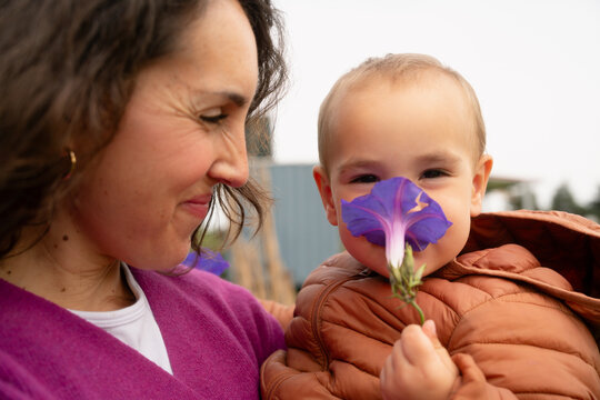Mother and baby enjoying morning glory flower