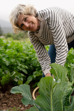 Senior woman working in vegetable garden