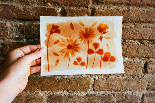 Botanic anthotype using turmeric powder