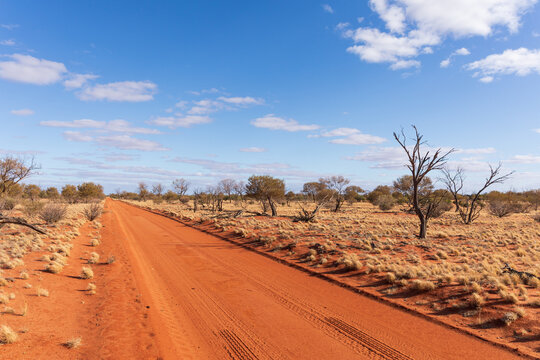 Red dirt outback road. Northern South Australia.