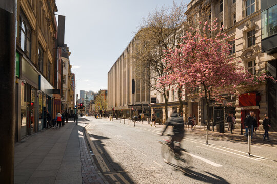 Manchester Street Scene With Cherry Blossoms and Cyclist 
