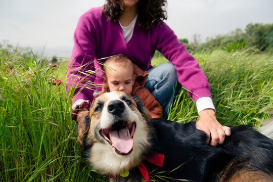 Mother, son, and dog playing together