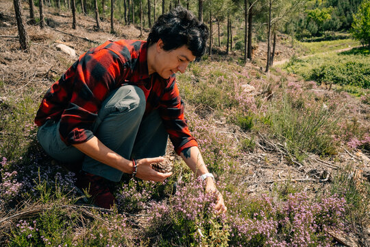 Person Forages for Plants in a Forested Area During Daytime