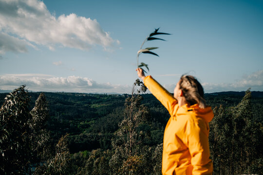 Person Holds Leaves While Looking at a Green Landscape in the Distance