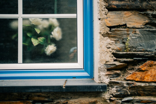 Flowers Seen Through a Window on a Stone Wall Building