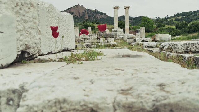 Ancient Ionic Columns Of The Temple Of Artemis In Sardis Salihli