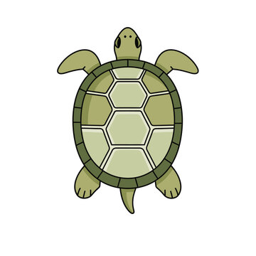 Cute Cartoon Sea Turtle Illustration with Hexagonal Shell Pattern