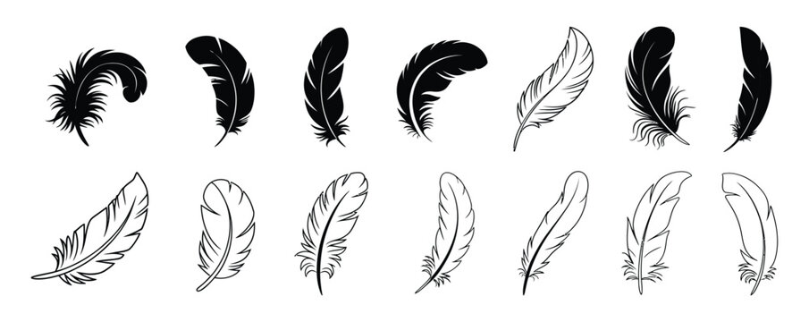 Bird feather pen icon black quill feather silhouette collection featuring elegant plume illustrations, vintage writing symbols and decorative design elements on white background