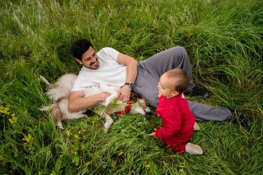 Father, toddler, and dog bonding outdoors in grass