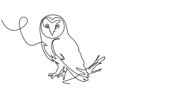 owl perched animation continuous line drawing, Full HD Video of a Perching Owl Bird Continuous one line drawing. simple hand drawn style design animal., elegant owl bird head for company logo identity