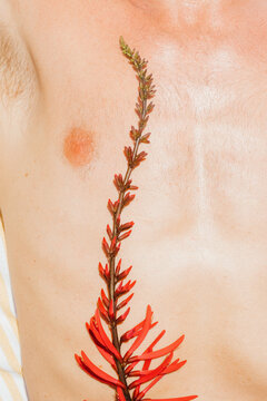 Flower Skin Detail Man's Torso Chest