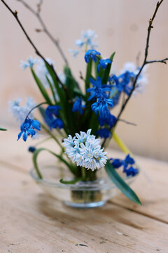 close up of spring bulb flowers arranged on pin frog with water bowl