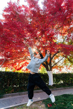 Little boy leaping under vibrant red maple tree