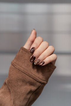 Brown Leopard Print Manicure