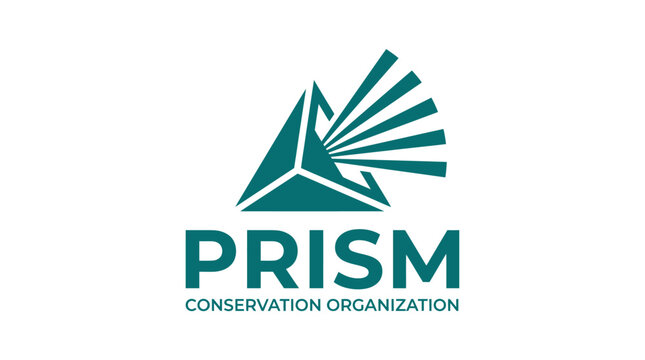 Modern abstract prism logo with radiating light rays and text.