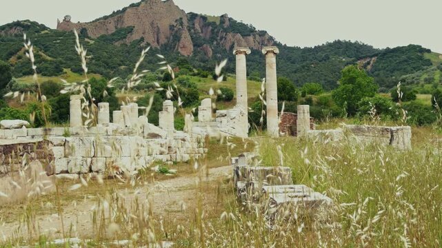 Ancient Ionic Columns Of The Temple Of Artemis In Sardis Salihli