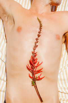 Flower on Man's Torso Skin