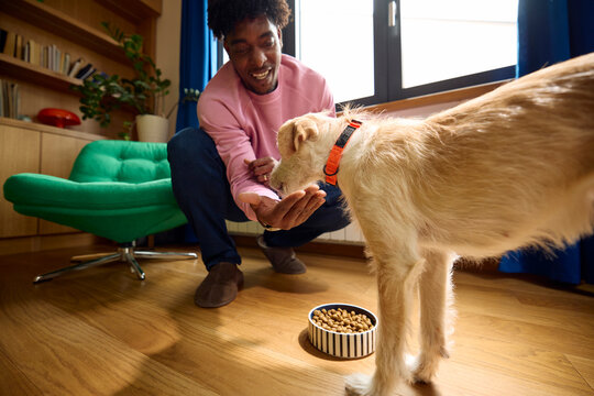 Man Engages With His Dog