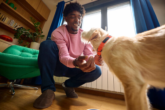 Man Interacts With His Dog