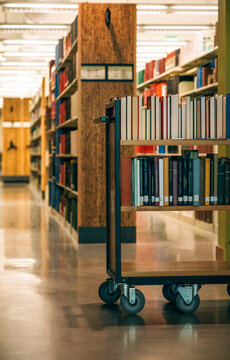 Library cart